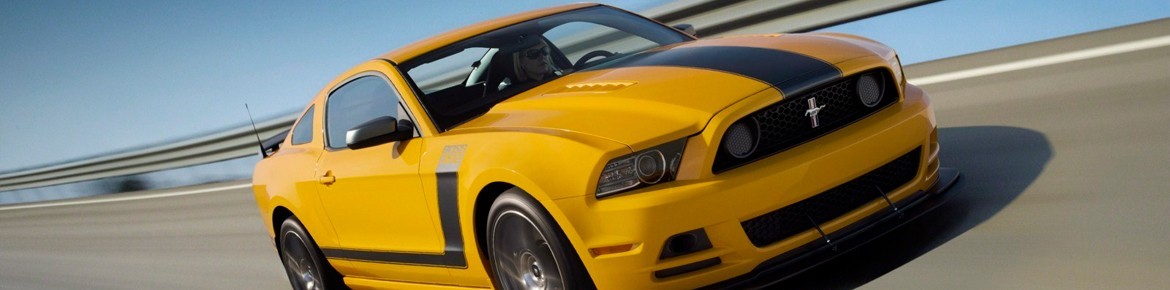 Chiptuning DrakeBox Ford Ecosport 1.6 TDCI 90 ps