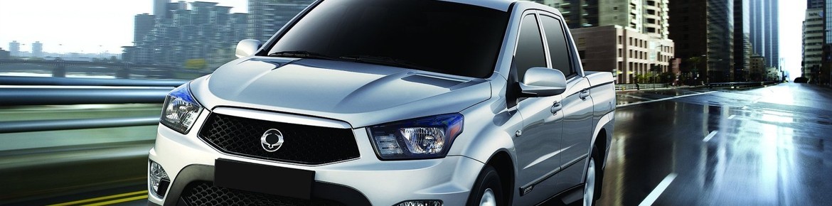 Chiptuning DrakeBox Ssangyong Kyron 2.7 XDI 165 ps