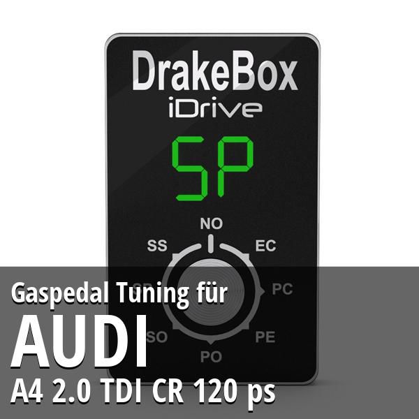 Gaspedal Tuning Audi A4 2.0 TDI CR 120 ps