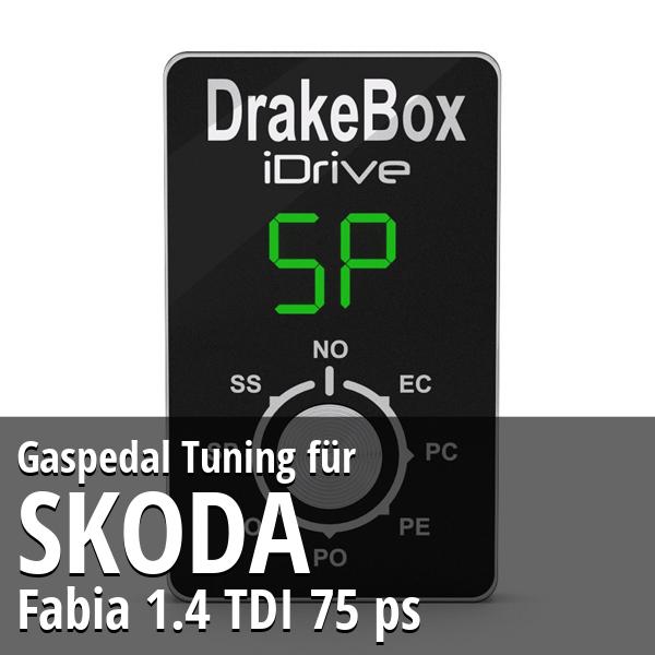 Gaspedal Tuning Skoda Fabia 1.4 TDI 75 ps